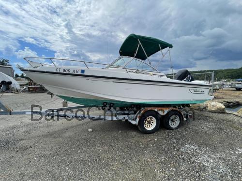 Boston Whaler Ventura 20 ficha tecnica